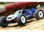 19870550886xut-pro-team-kit-truggy_3