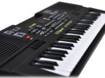 Organki Elektroniczne Mikrofon+Zasilacz