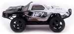 734734-auto-rally-truck-5