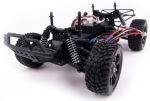 734734-auto-rally-truck-6