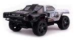 734734-auto-rally-truck-8