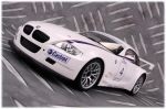 8209auto-bmw-8209-6