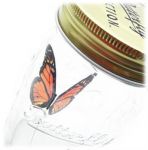 motyl