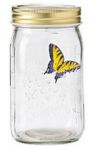 motyl